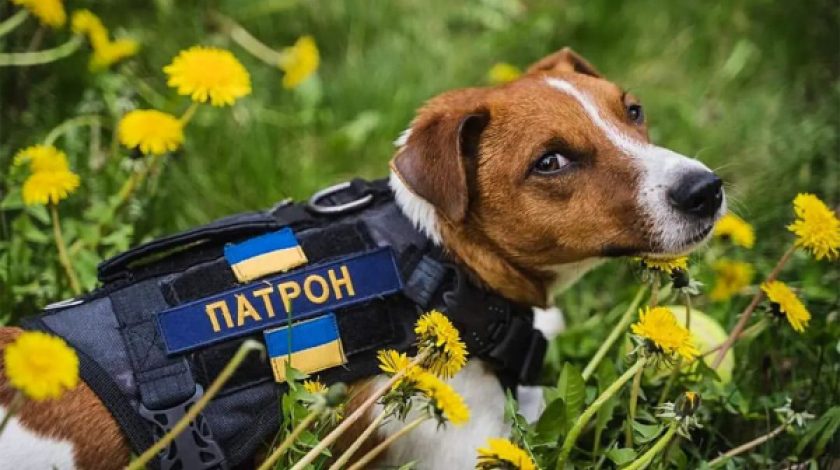 ЯК УБЕРЕГТИ ДИТИНУ ВІД МІН ТА ВИБУХІВКИ